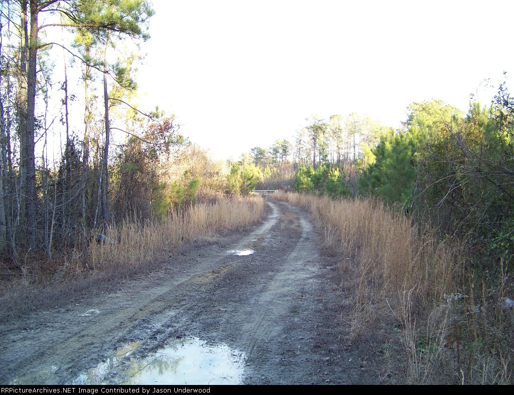 Franklin & Carolina RR Cut looking towards the Wye