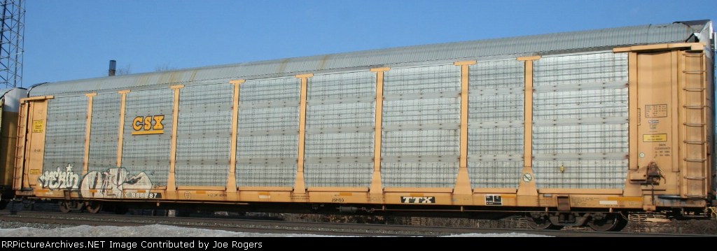 TTGX 986287