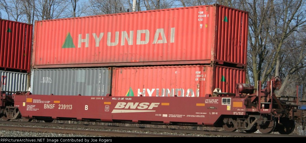 BNSF 239113