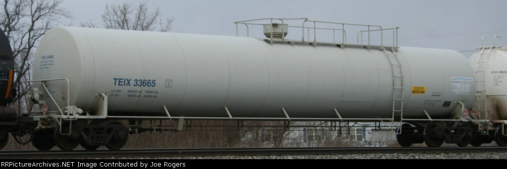 TEIX 33665