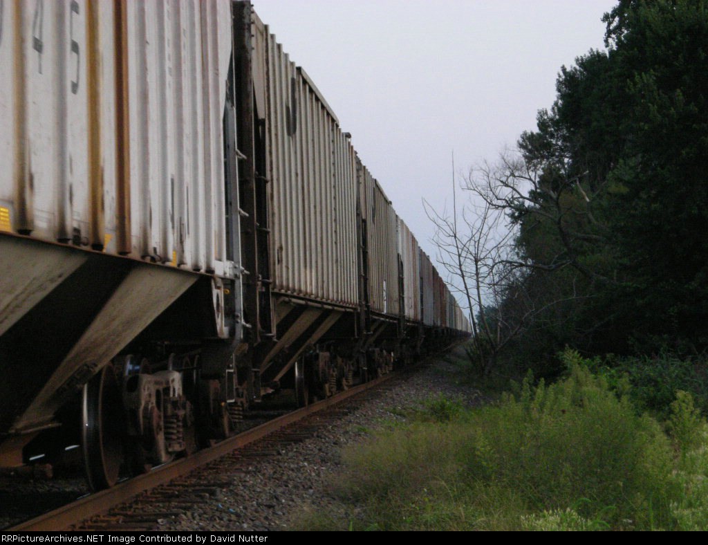 Long empty grain cars line up on 13G