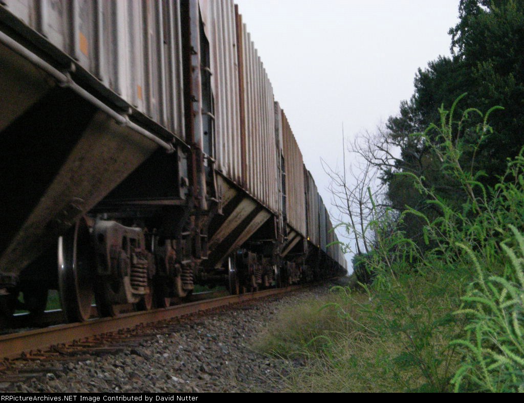 Long empty grain cars line up on 13G