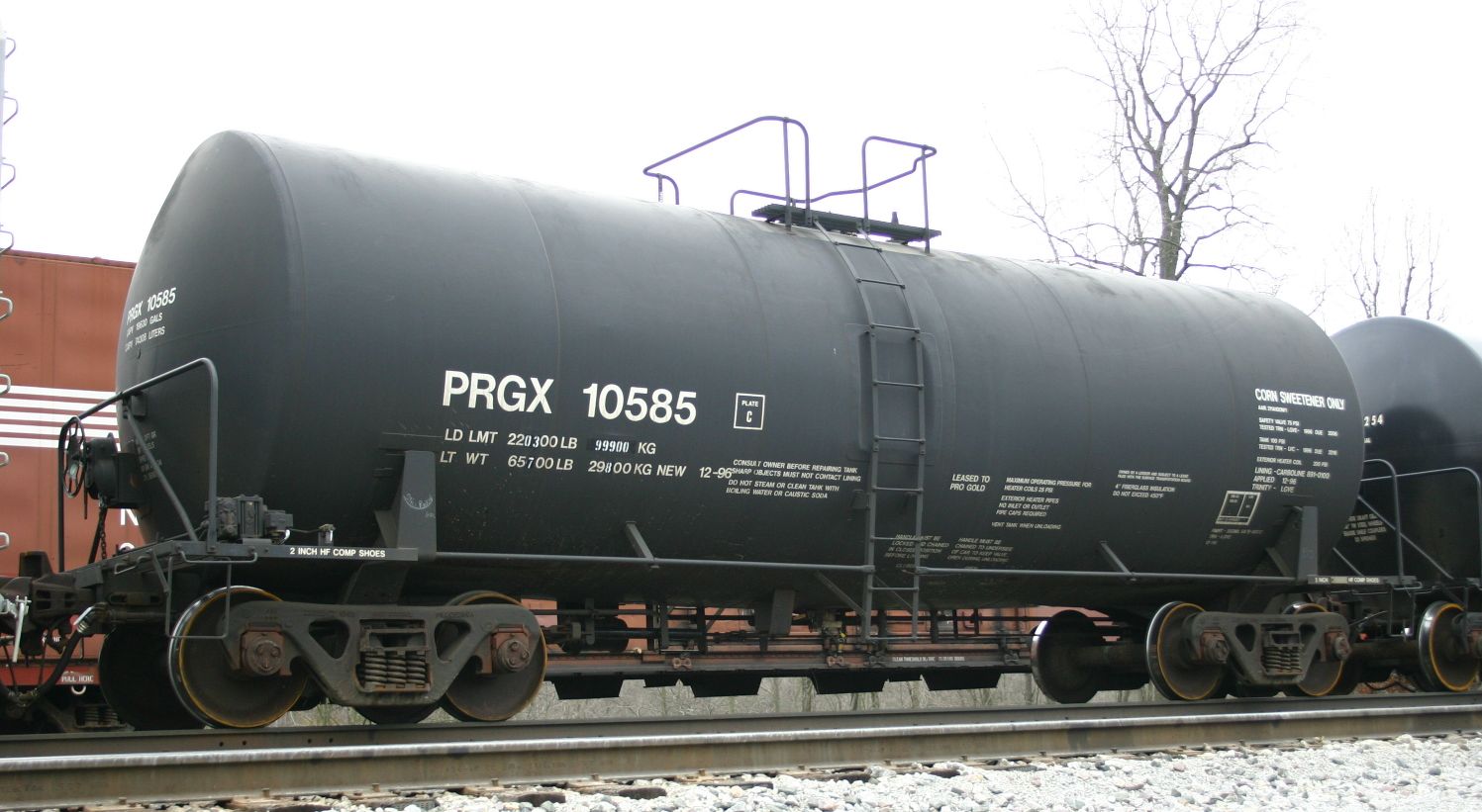 PRGX 10585
