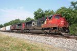 CN 8805