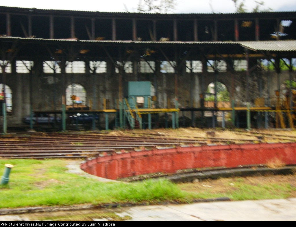 sasa redonda orizaba