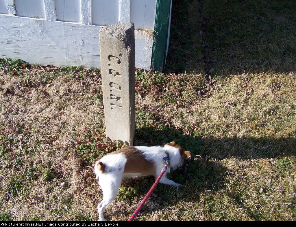Shelley Inspects the C&O RY Property Line Marker