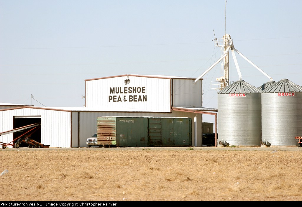 Muleshoe Pea and Bean Company
