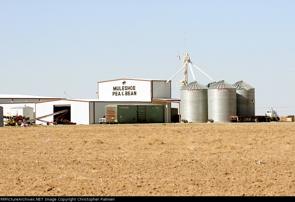 Muleshoe Pea and Bean Company