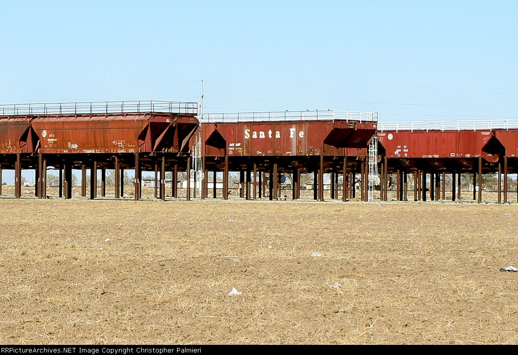 Muleshoe Pea and Bean Company