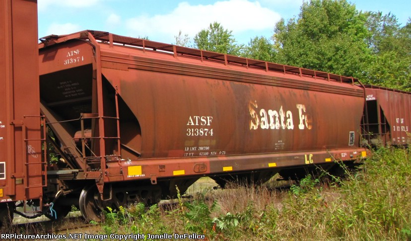 ATSF #313874