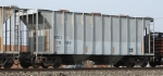 RGCX 36104