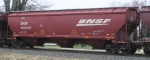 BSNF 484395