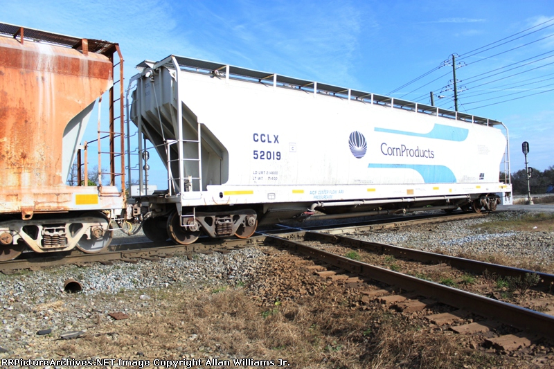 CCLX 52019