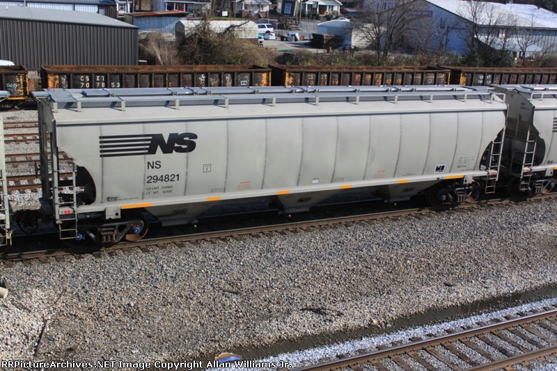 NS 294821