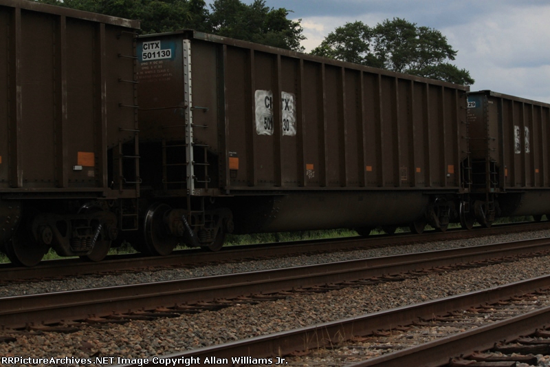 CITX 501130