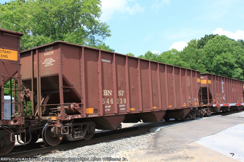 BNSF 646239
