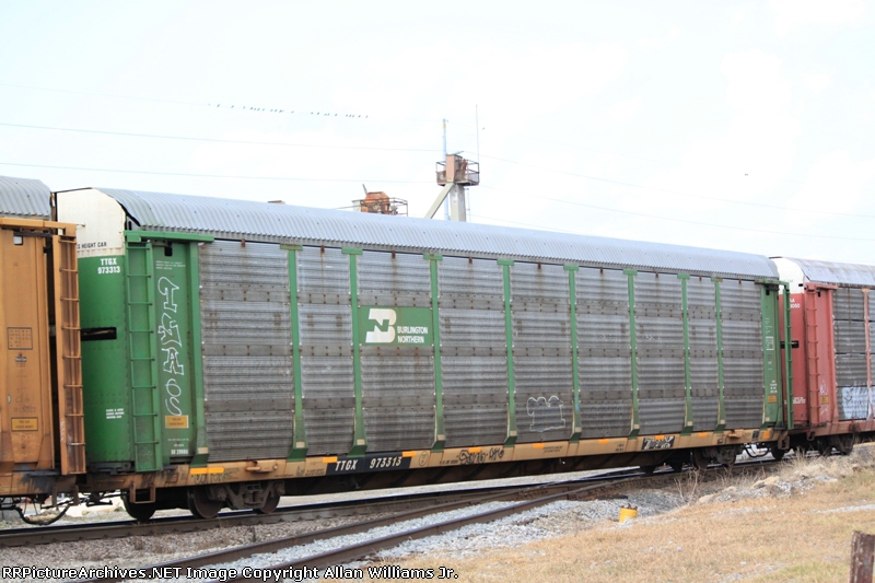 TTGX 973313