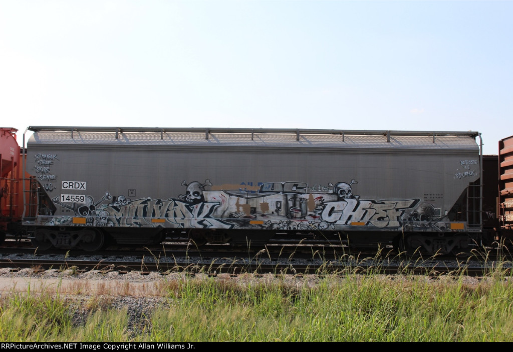 CRDX 14559