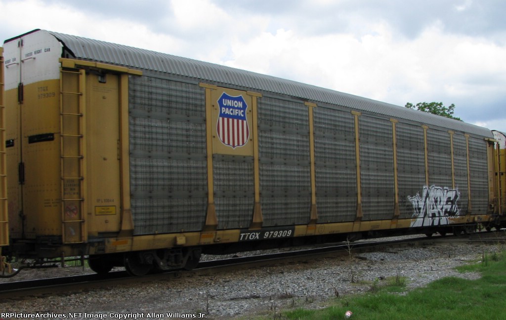 TTGX 979309