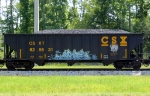 CSX 828531