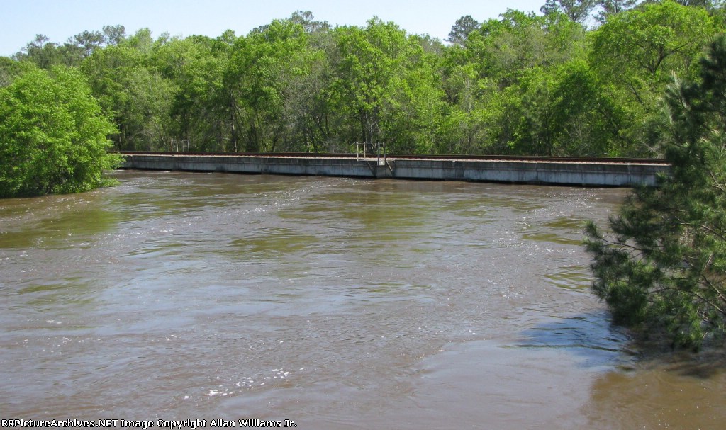 CSX Bowline's Withlacoochee River Overflow Bridge