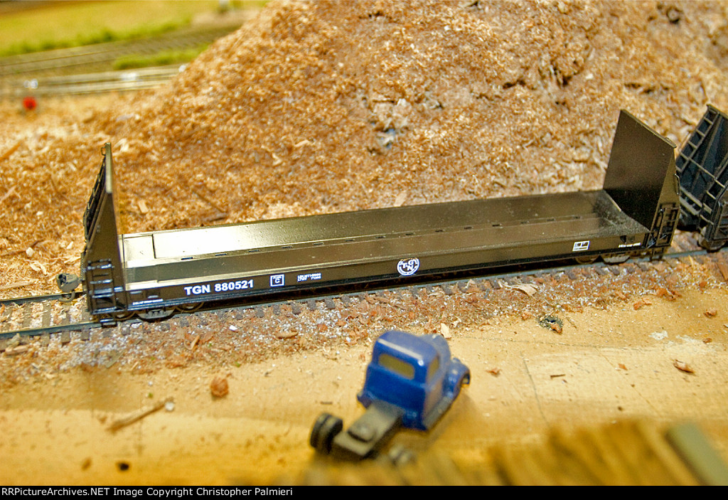 TGN 880521