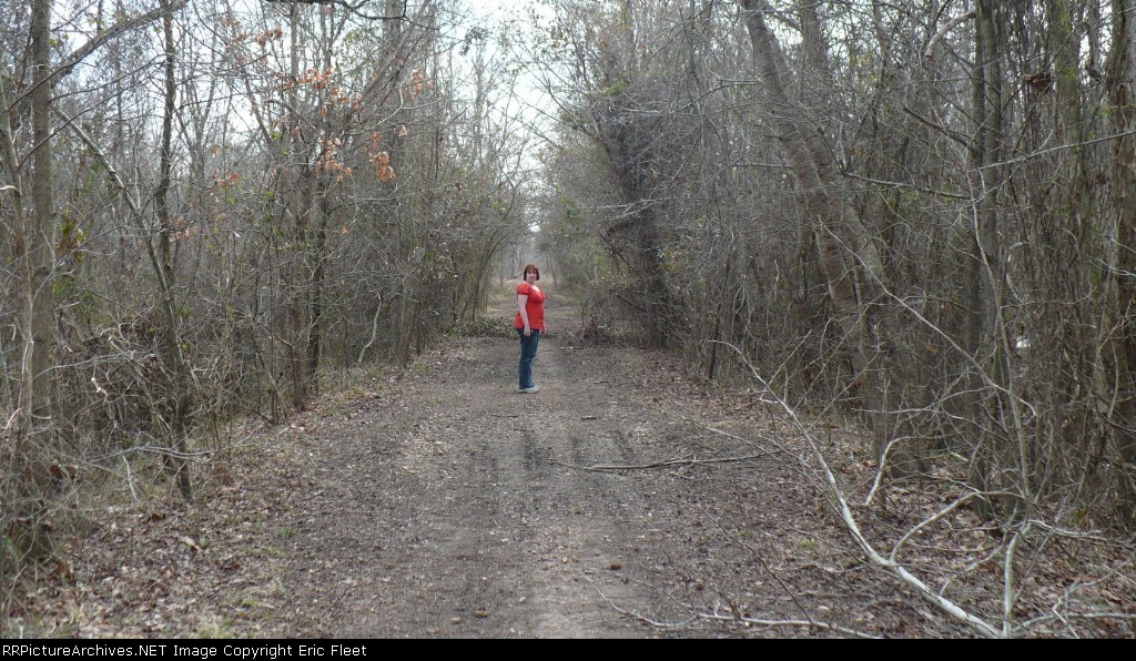 Former NC&STL main line