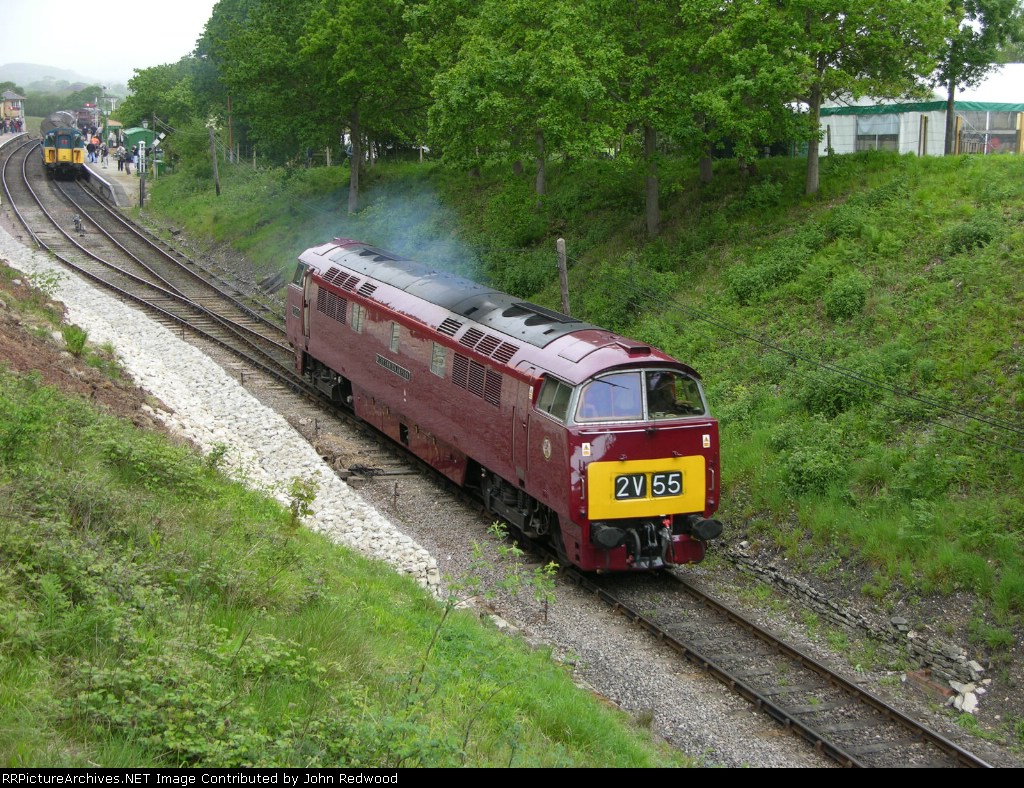 D1015 Western Champion at Harmans Cross