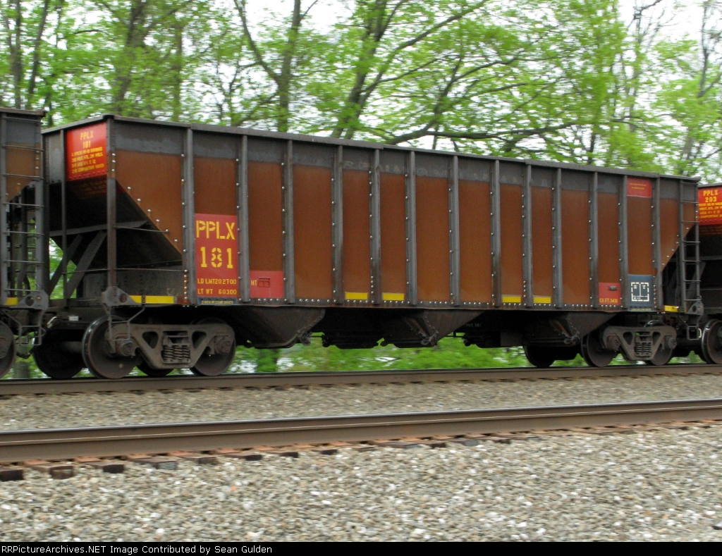 PPLX 181