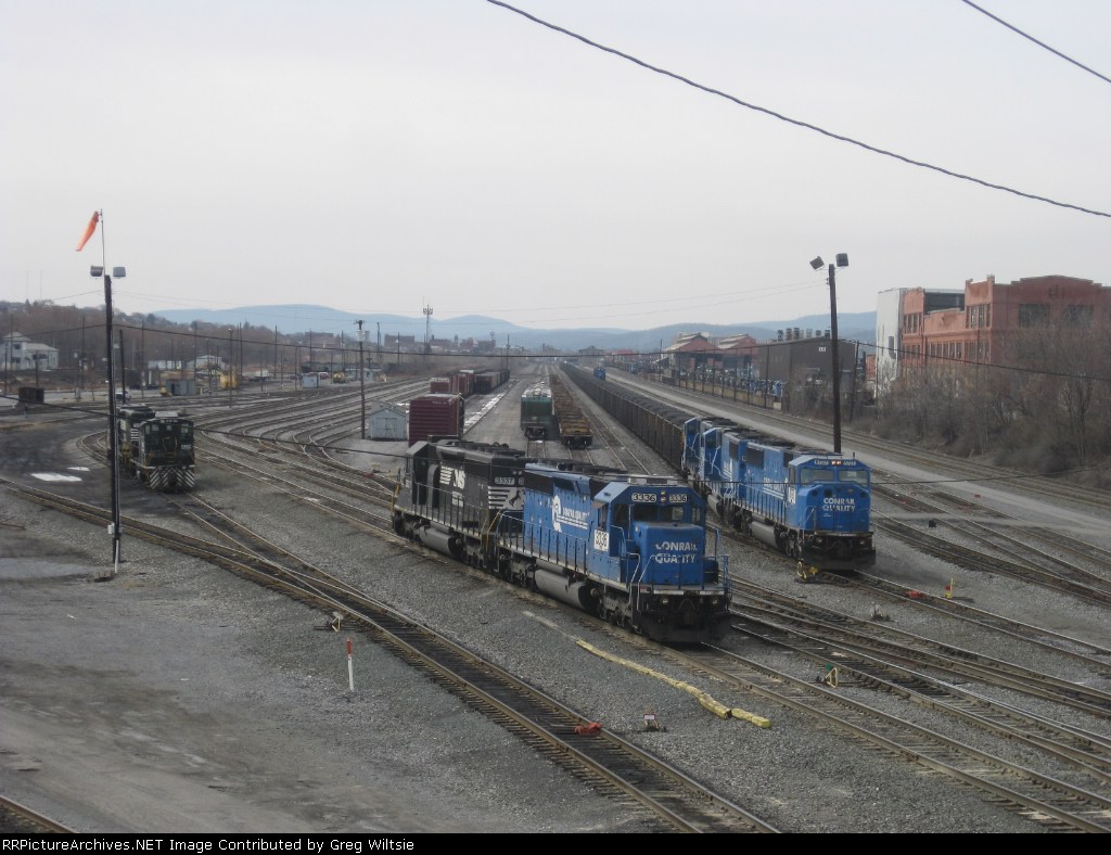 Black and blue at Rose Yard