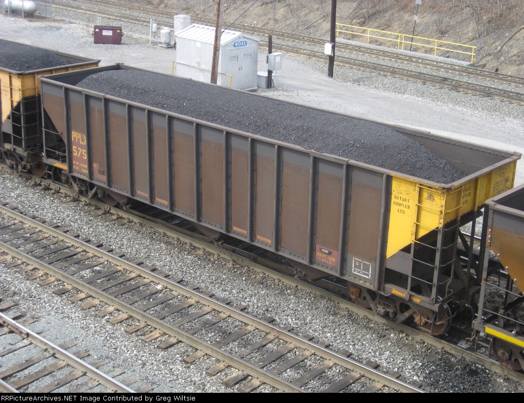 PPLX 575