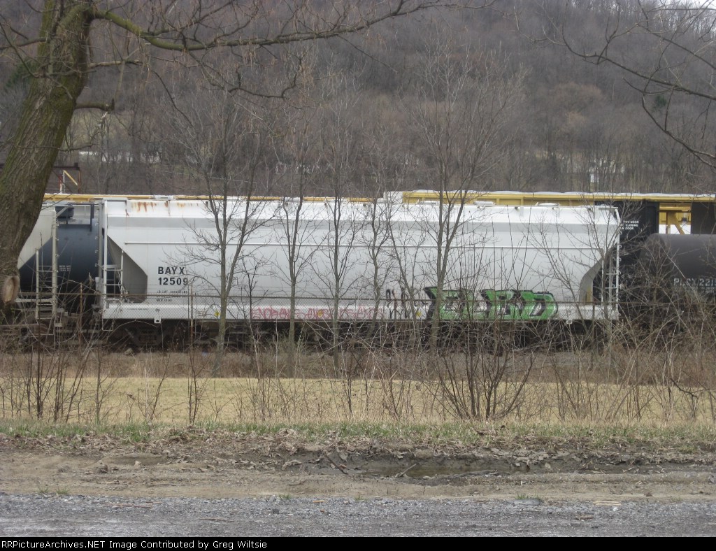 BAYX 12509