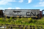 CN 388920