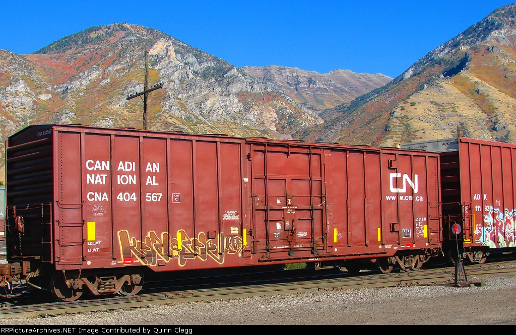 CANADIAN TOURIST VISITS PROVO.