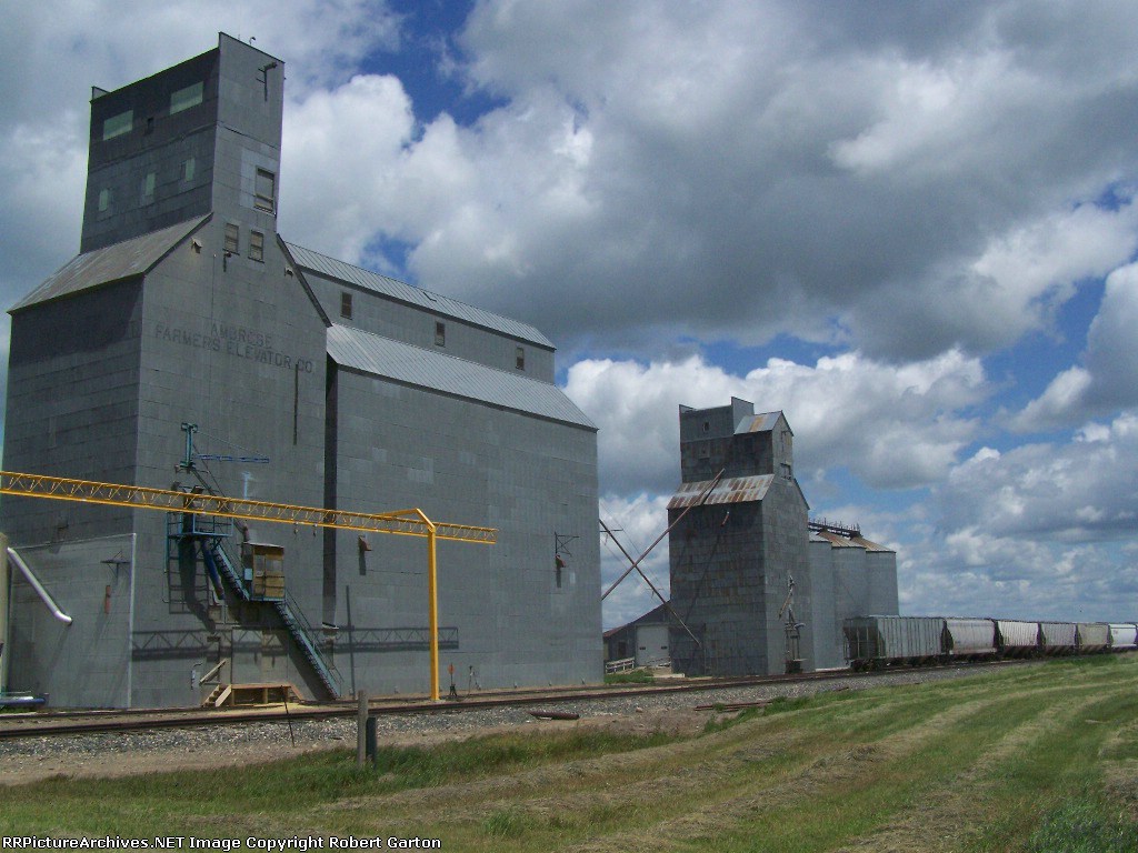 Ambrose Farmers Elevator Co. & the DMVW