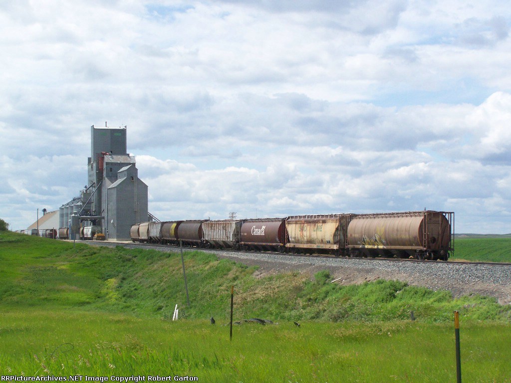The Farmers Elevator and a Couple of Strings of Covered Hoppers