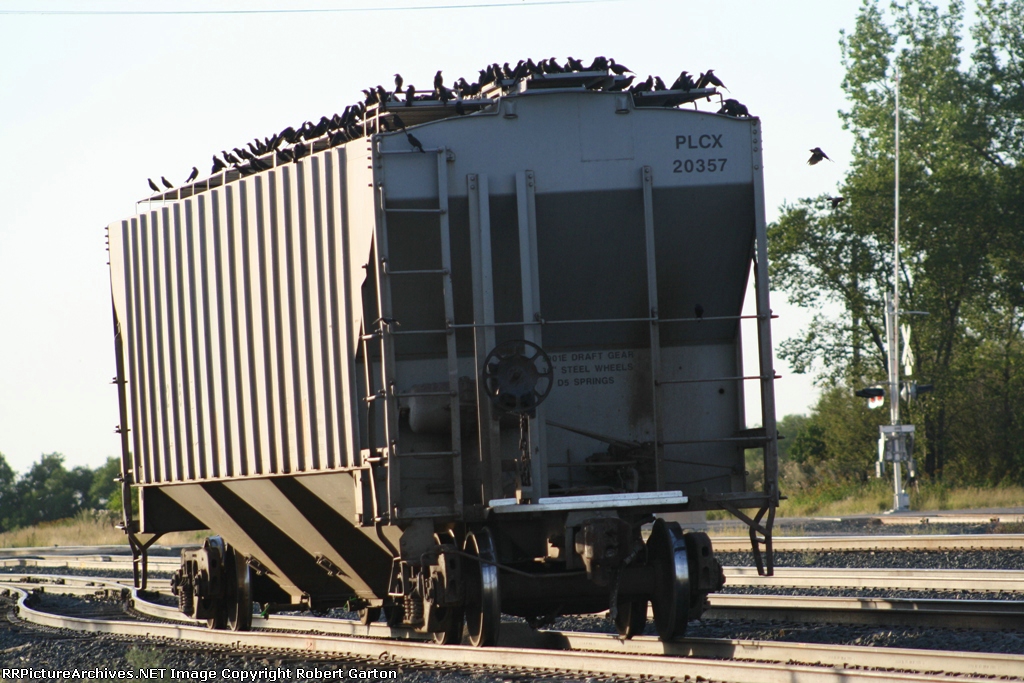 Judging by the Birds, I'd Say There was some Spilling Going On Here