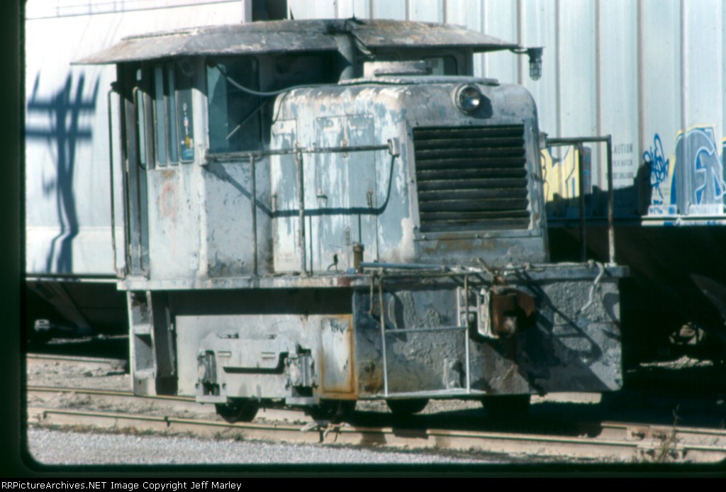 Mississippi Lime Critter #9