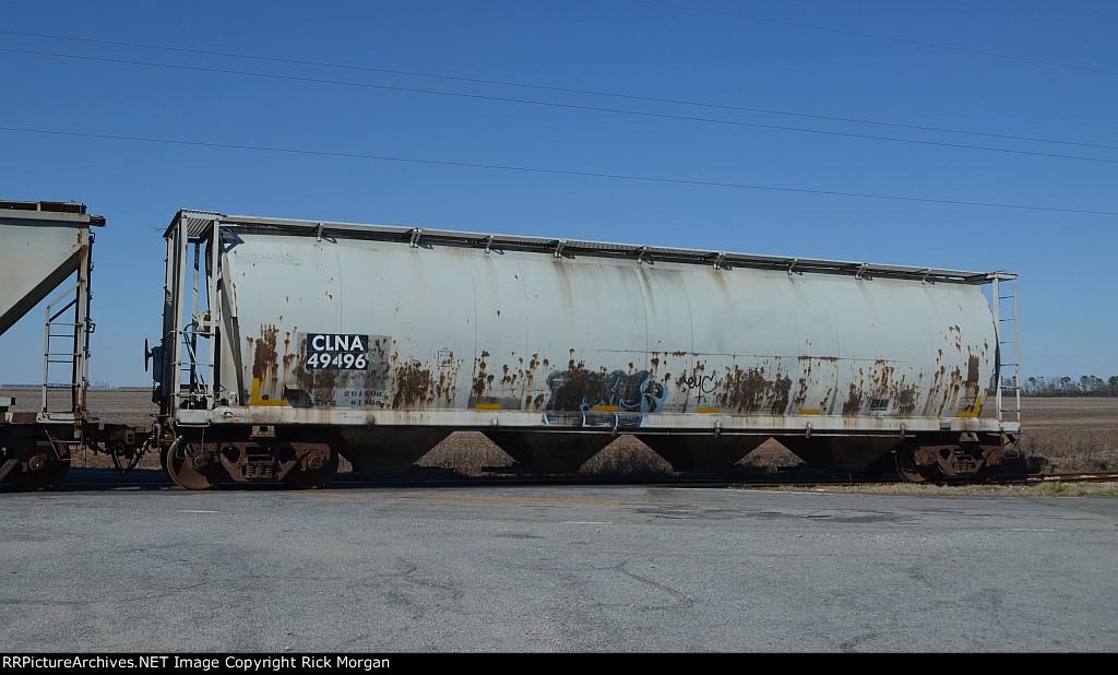 Carolina Coastal 49496