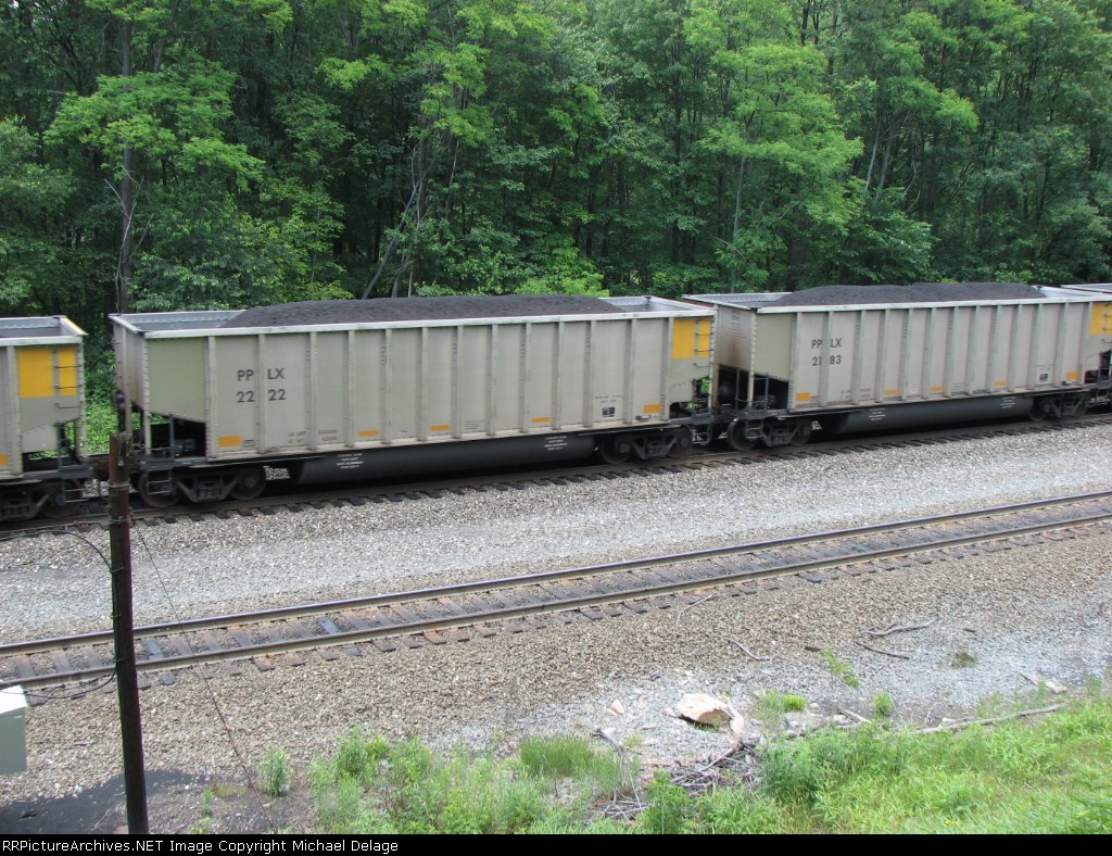 PPLX 2222