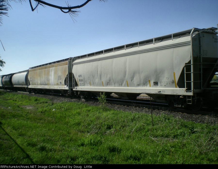 AGPX 95091
