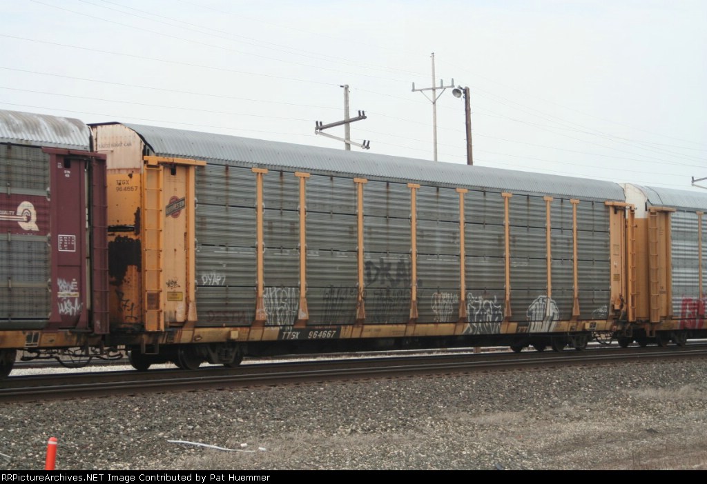 TTGX 964667