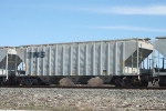 NS 245124