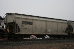 NS 292754