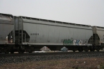 NS 293019
