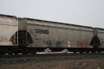 NS 292574