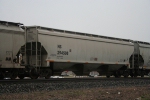 NS 294508