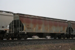 NS 293336