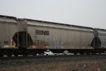 NS 292673