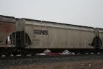 NS 292573